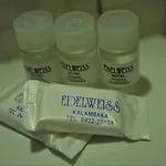 Hotel Edelweiss 3*